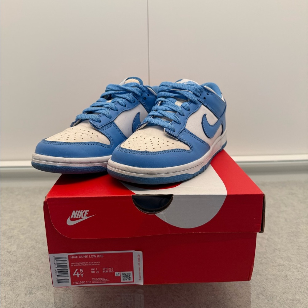Nike Dunk Low in Sky Blue and White